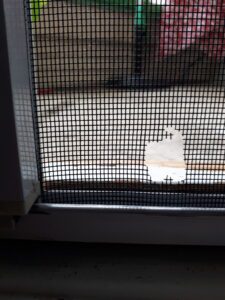rodent-damage-on-retractable-screen-mesh-bottom