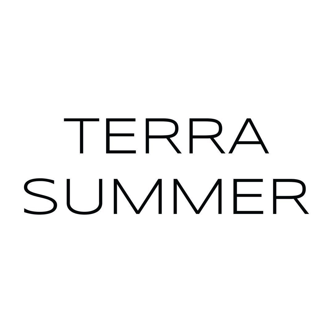 Terra Summer logo